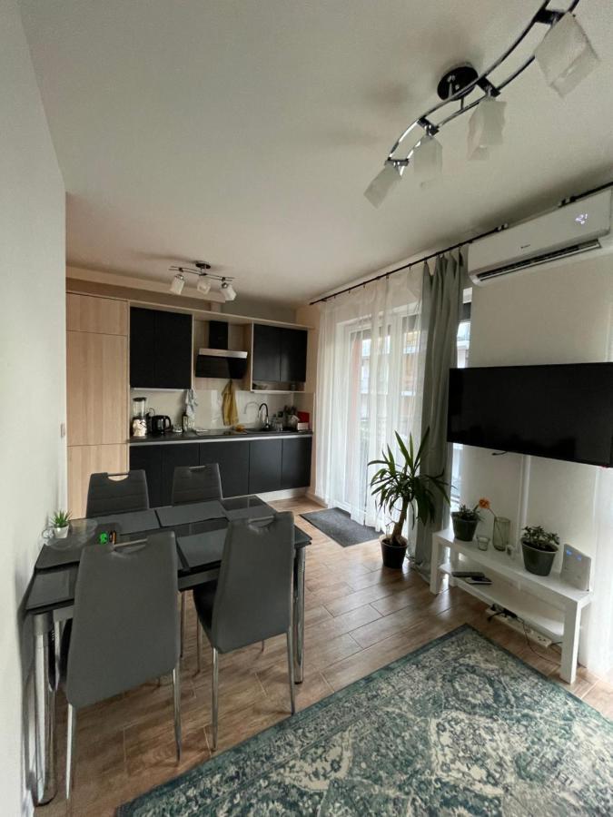 Rakowicka Apartment - City Center Краків Екстер'єр фото